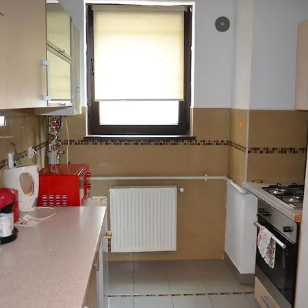 Apartment Charming Big Terrace Bukarest